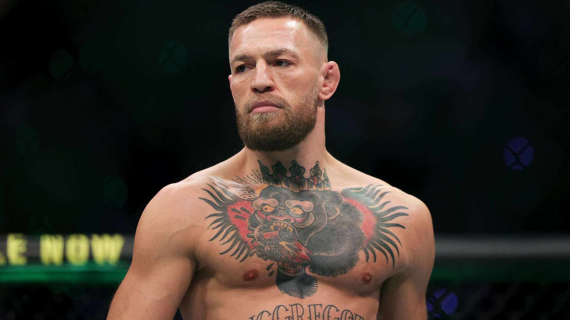 发力和速度 发力和速度